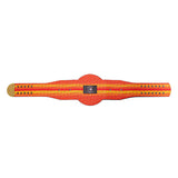 Houston Astros WWE Legacy Title Belt