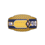 Indiana Pacers WWE Legacy Title Belt