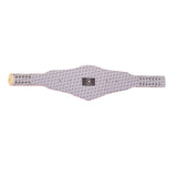 Los Angeles Angels WWE Legacy Title Belt