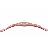 Nebraska Huskers WWE Legacy Title Belt