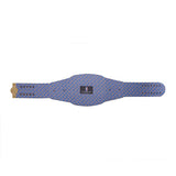 Orlando Magic WWE Legacy Title Belt