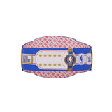 Philadelphia 76ers WWE Legacy Title Belt