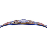 Philadelphia 76ers WWE Legacy Title Belt