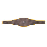 Pittsburgh Pirates WWE Legacy Title Belt