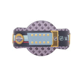 Seattle Kraken WWE Legacy Title Belt