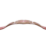 Texas Longhorns WWE Legacy Title Belt