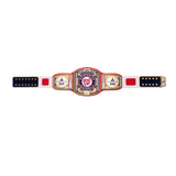 Washington Nationals WWE Legacy Title Belt