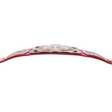 Washington Wizards WWE Legacy Title Belt