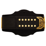WWE Intercontinental Championship Replica Title Belt