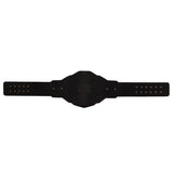 WWE NXT Championship 2024 Replica Title Belt